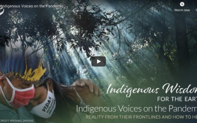 Tree Sisters Webinar: Indigenous Voices on the Pandemic