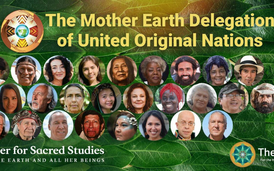 The next call with the Mother Earth Delegation will be on May 18th, 2024 @ 2 PM PDT