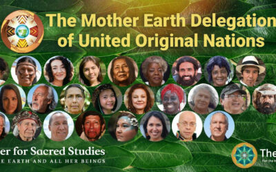 The next call with the Mother Earth Delegation will be on June 15th, 2024 @ 2 PM PDT