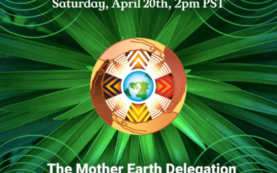The next call with the Mother Earth Delegation will be on April 20th, 2024 @ 2 PM PDT