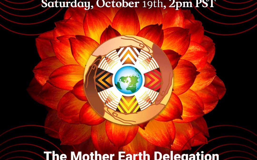 The next call with the Mother Earth Delegation will be on October 19th, 2024 @ 2 PM PDT