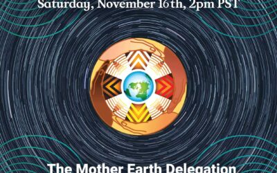 The next call with the Mother Earth Delegation will be on November 16, 2024 @ 2 PM PDT