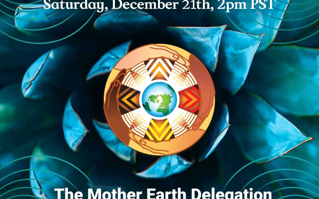 The next call with the Mother Earth Delegation will be on December 21st, 2024 @ 2 PM PT