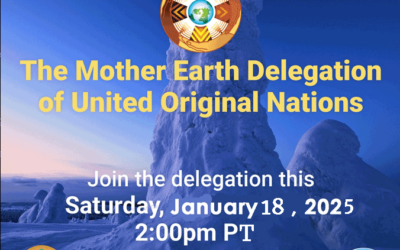 The next call with the Mother Earth Delegation will be on January 18th, 2025 @ 2 PM PT