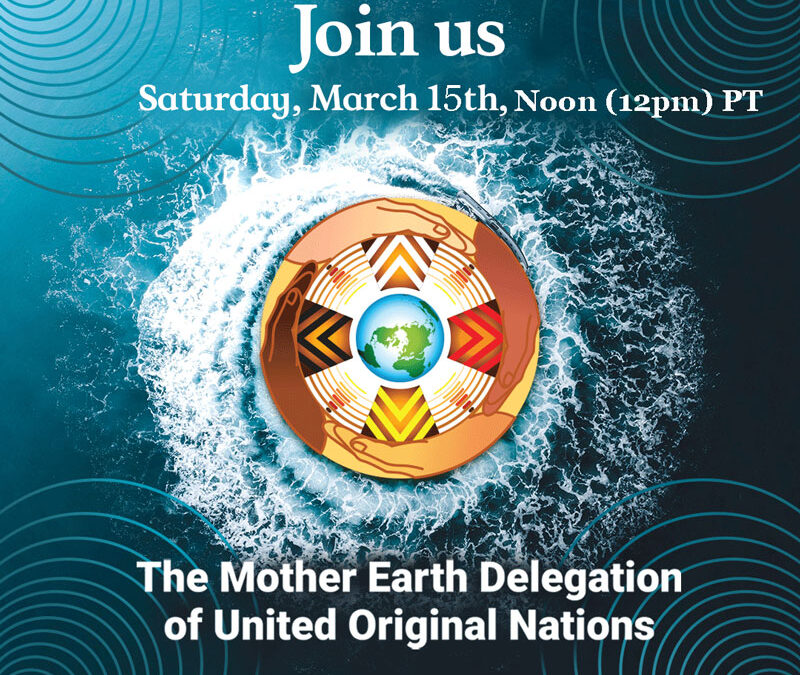 The next call with the Mother Earth Delegation will be on March 15th, 2025  @ Noon (12 p.m.) PT