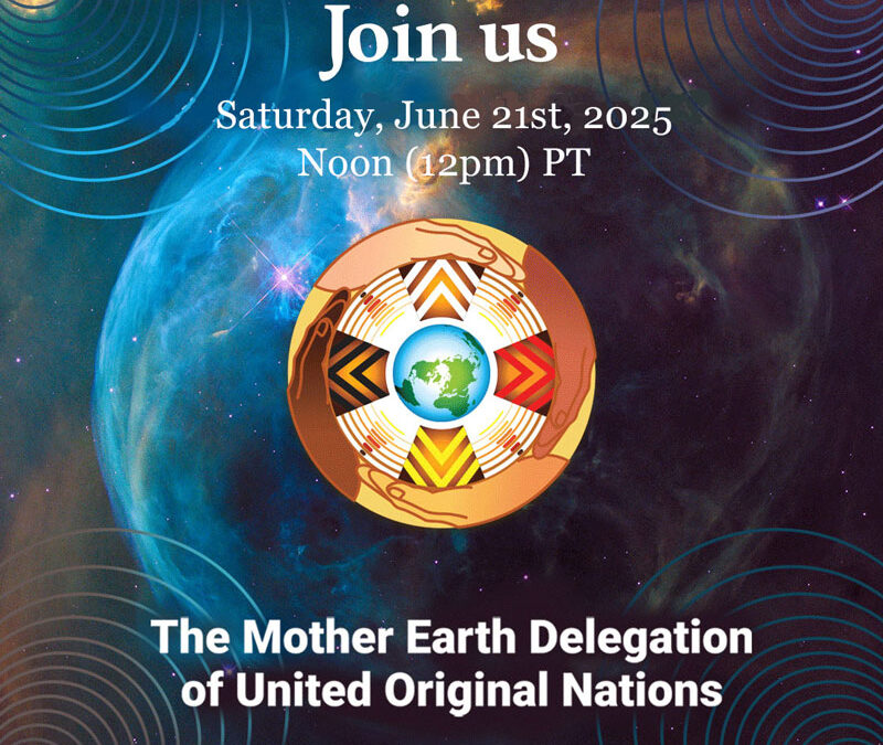 The next call with the Mother Earth Delegation will be on June 21st, 2025  @ Noon (12 p.m.) PT
